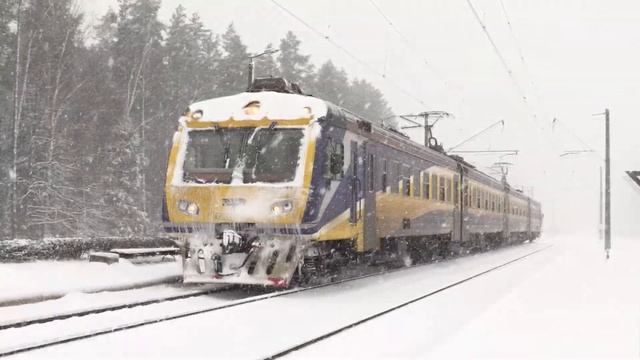 Электропоезд ЭР2Т-7117/7116 на о.п. Озолниеки / ER2T-7117/7116 EMU at Ozolnieki stop смотреть онлайн