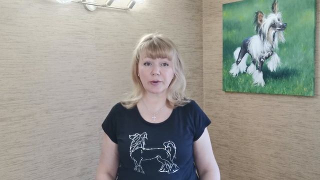 Клещи и блохи / Что должен знать и делать каждый владелец / Средства защиты /Китайские хохлатые смотреть онлайн