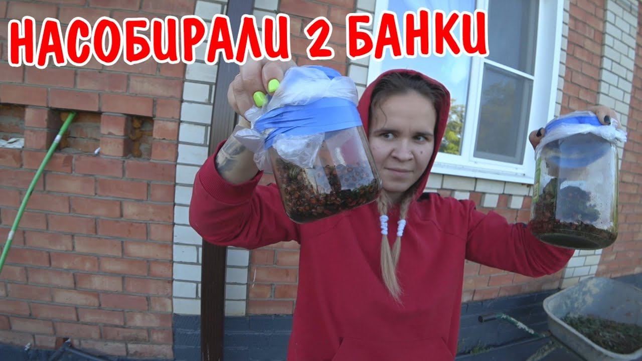 РАБОТАЮ ПОСЛЕ ОПЕРАЦИИ / РАБОТА НА ОГОРОДЕ / СКОСИЛ ТРАВУ ГАЗОНОКОСИЛКОЙ / КУПИЛИ ЧАЙНИК Pioneer смотреть онлайн