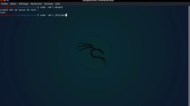 Sudo Vulnerability CVE-2019-14287 смотреть онлайн
