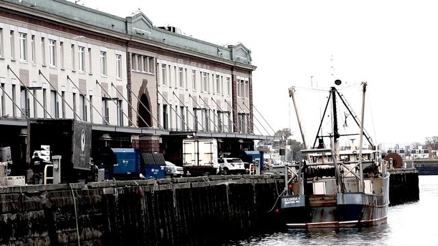 Видео фон для сайта - Рыболовные лодки в порту | rowpost.com смотреть онлайн