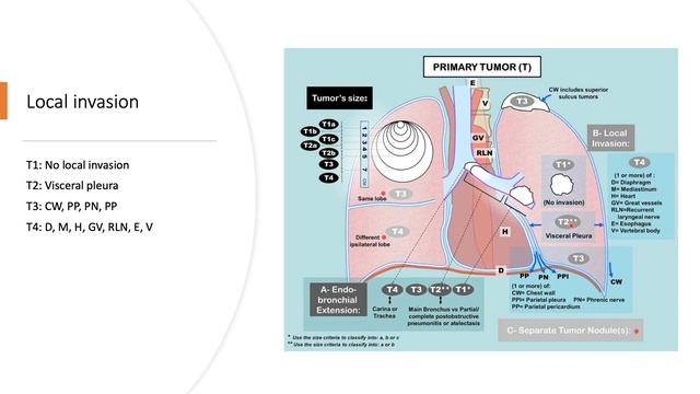 Lung Cancer Staging TNM 8th Edition смотреть онлайн