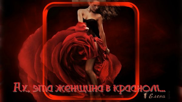 The Lady In Red   *   Chris De Burgh   *  Красные розы в моём саду