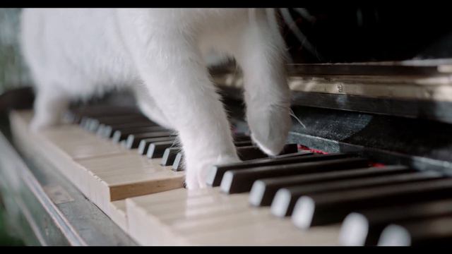 H.Molbe-Idillio op.49 Marianna Zaleska-English Horn-Foteini Triantafyllou piano смотреть онлайн