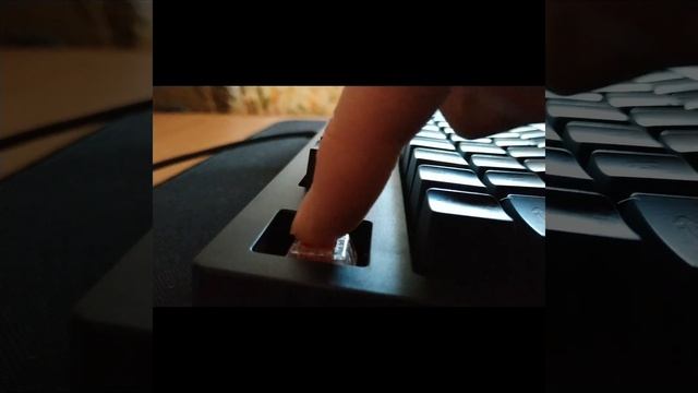 Zet Immortality TKL typing | Печать | Kailh red box typing sound #shorts смотреть онлайн