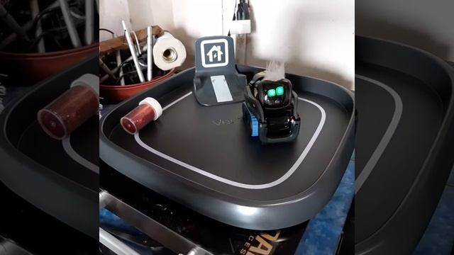 Anki Vector Space First Try With My Vector Pehhter