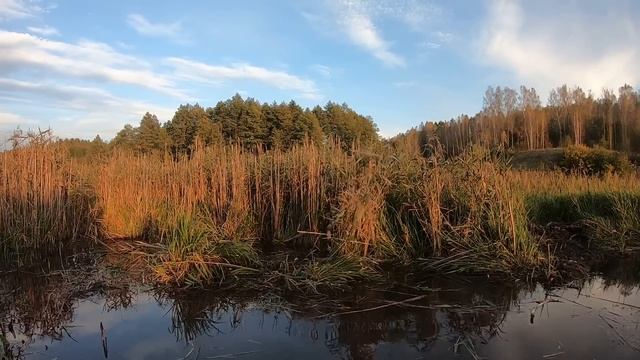 Озеро своими руками. Нашел еще одно русло смотреть онлайн