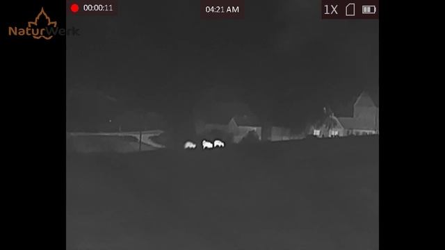 Hikmicro Falcon FH25 Vorstellung und Test im Revier смотреть онлайн