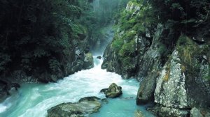 Хоопонопоно | Медитация, меняющая жизнь на 100% | Мощнейшая медитация очищения негативных программ