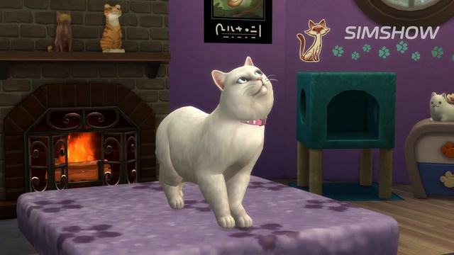 ТОП5 | Лучшие дополнения для The Sims 4 смотреть онлайн
