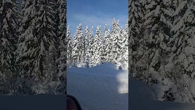 Ура, у меня отпуск.Февраль 2022