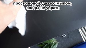 Это РАБОТАЕТ! Как убрать клей от фикуса за МИНУТУ. Проверенный и быстрый способ!