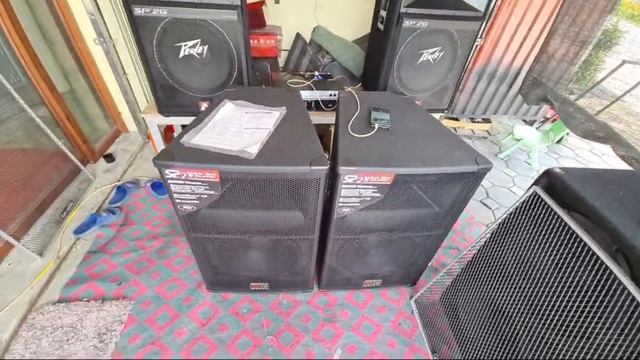 LOA PEAVEY SP 2 CON BỌ CẠP. sp 2g. Community csx57. Đt 0936.583.149 смотреть онлайн