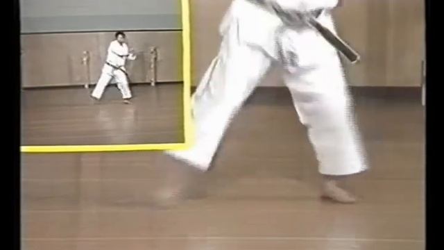 Kanku Dai (Kata & Bunkai) смотреть онлайн