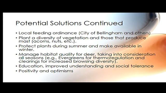 Educational Forum on Bellingham's Black-tail Deer and the New No Deer Feeding Ordinance смотреть онлайн