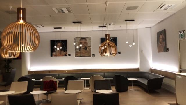 Annick Goeke Art @Skyview Dnata Lounge, GVA Airport, Geneva, Switzerland смотреть онлайн
