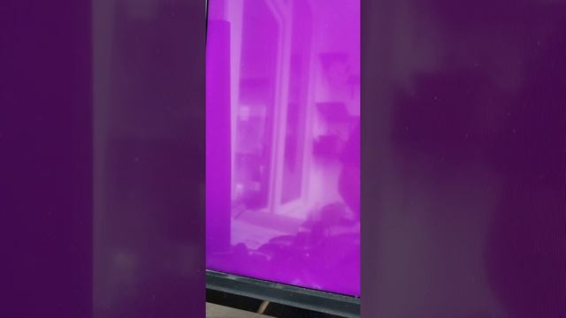 Kernel Panic Ubuntu 20.04 5nov2020