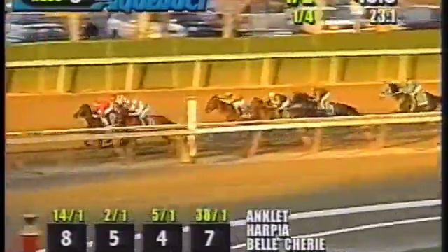 Horse's N Course's November 30, 1999 смотреть онлайн