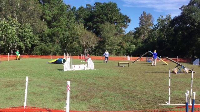 Java Master standard Sat CDTC смотреть онлайн