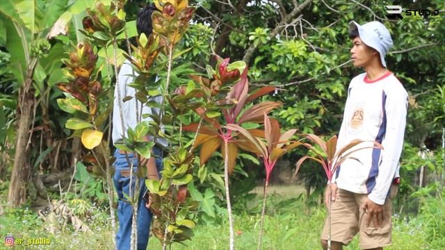 Akibat Suami Mandul Wanita Ini Tega Selingkuh Dengan Tukang Kebun – Film Pendek Cerita Kehidupan смотреть онлайн