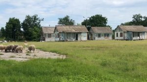 Сплав по реке Сура июнь 2020