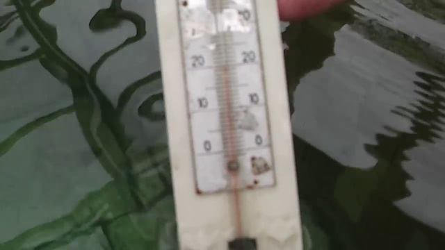 Бассейн с подогревом от солнца смотреть онлайн