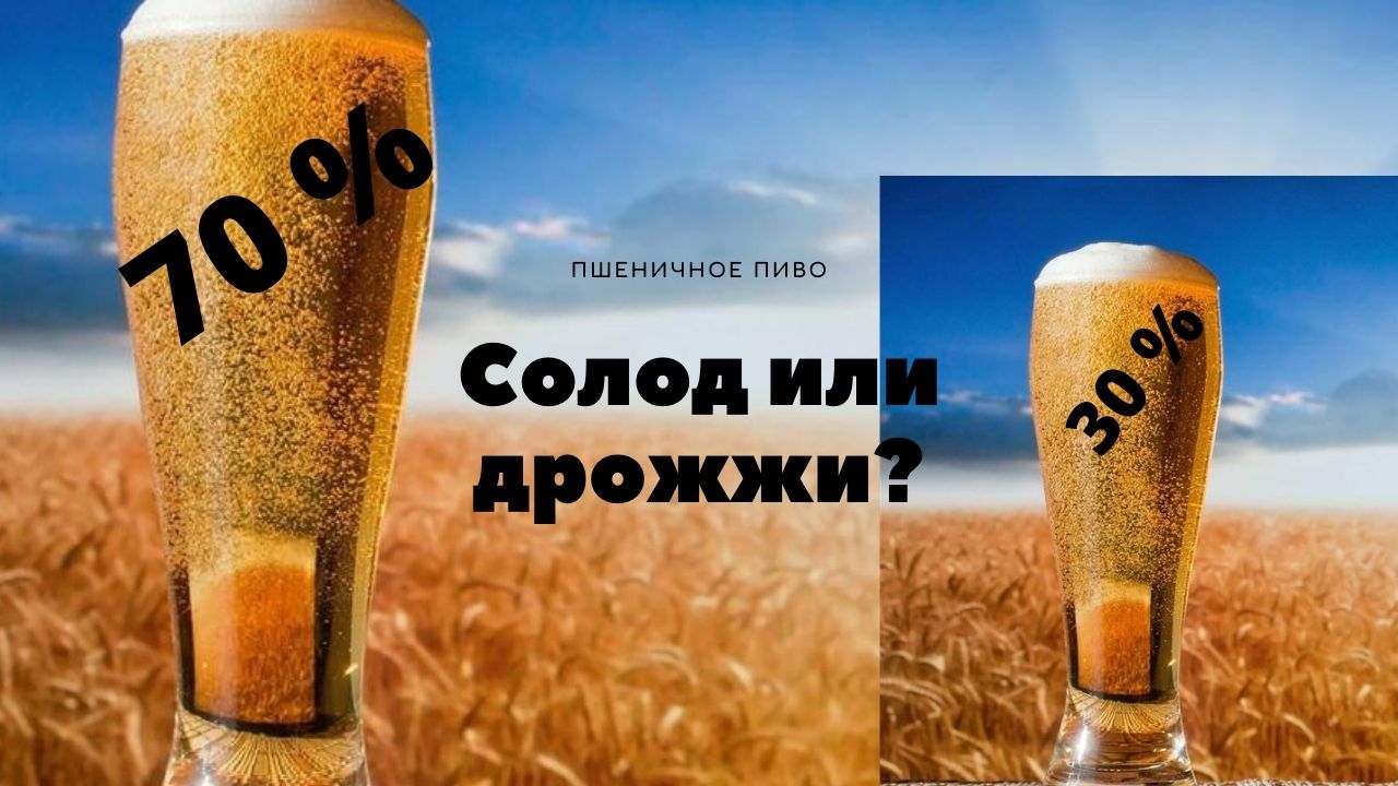 Пшеничное пиво это про солод или дрожжи?Домашнее пшеничное пиво! смотреть онлайн