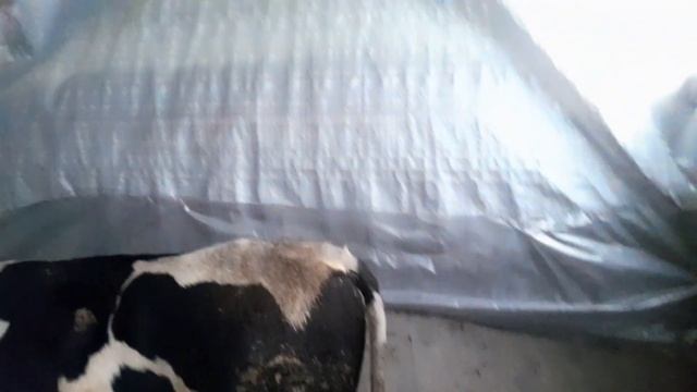 #Ассалому#алекум#пешай#барф#задан#махкам#кадем#навеса#