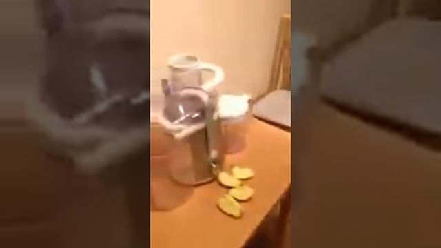 Соковыжымалка смотреть онлайн