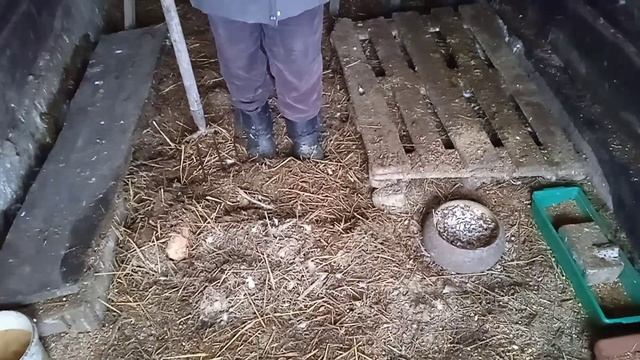 Сырость в птичнике зимой, что делать. смотреть онлайн