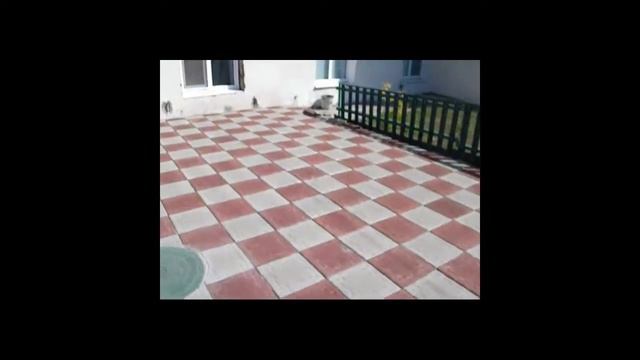 Полимерно песчаннаая плитка , год спустя! Реальный отзыв смотреть онлайн