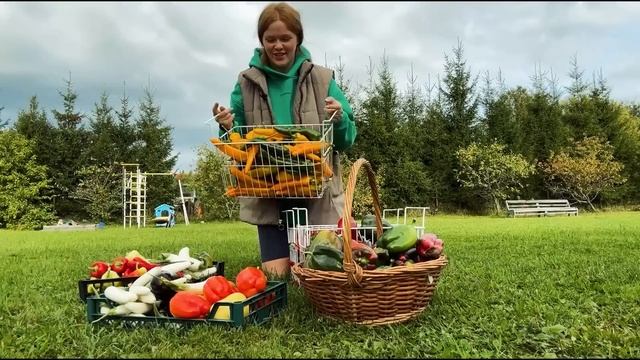 СЕЛЬСКИЕ БУДНИ ФЕРМЕРА В ДЕРЕВНЕ ОСЕНЬЮ смотреть онлайн