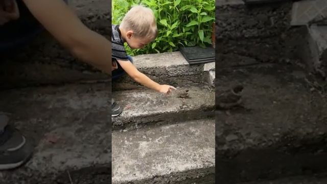 #дЖека и воробей# дача# лето#у бабушки