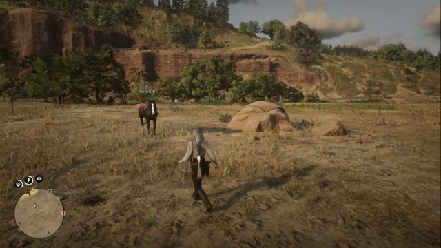 Цири на Диком Западе [Red Dead Redemption Online] #1 смотреть онлайн