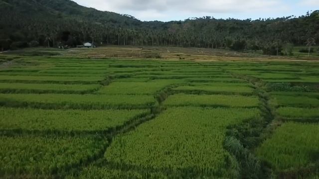 Планета гейзеров.