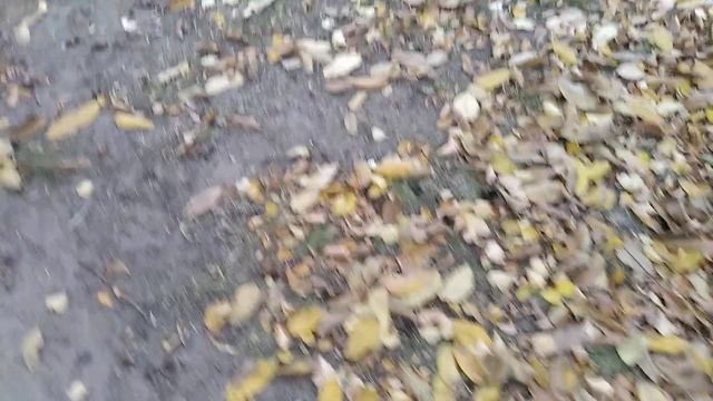 ЗАПОРОЖЬЕ ЛАФА ЗАКОНЧИЛАСЬ  22.10.23