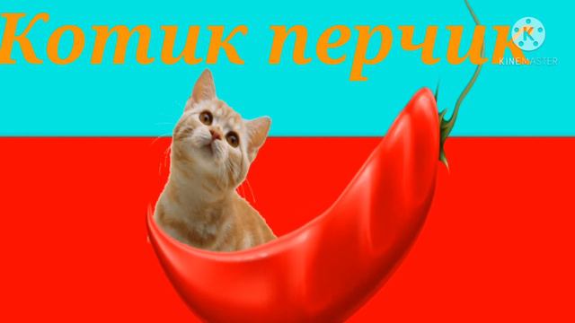 Котик перчик | cat Pepper НА 1 ЧАС смотреть онлайн