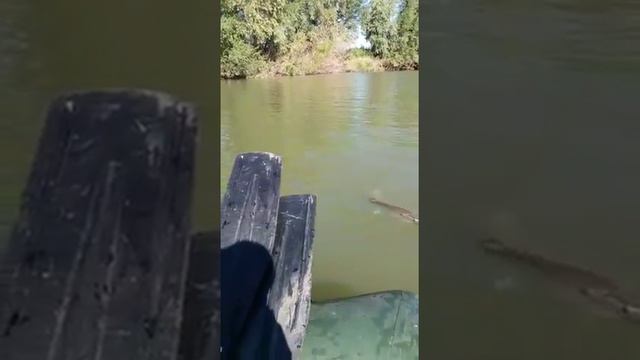 Талгат Махаев на рыбалке смотреть онлайн