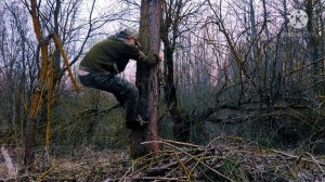 Когти для лазания по деревьям|своими руками|проверка лайфхака