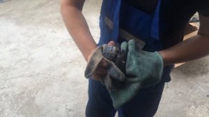 Проверка муфты VTC