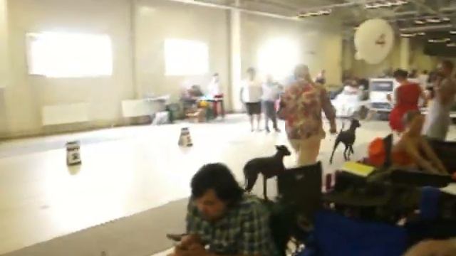 Ксоло. Белые ночи 2013 смотреть онлайн