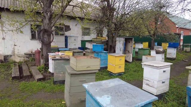 Пчеловодство.Пасека с нуля.Еду покупать первые две семьи!Часть 2 смотреть онлайн