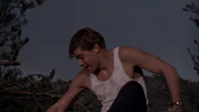 Два капитана-55