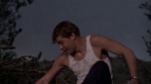 Два капитана-55