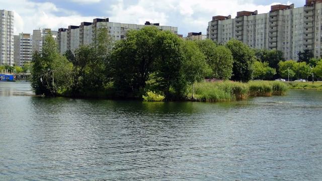 пруд в парке героев пожарников СПБ 15 07 22года смотреть онлайн