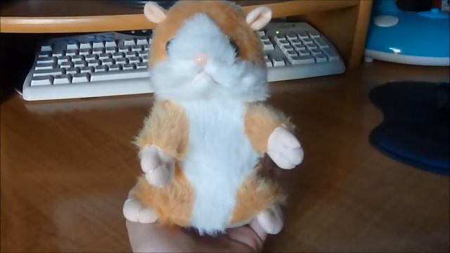 Разговаривающий хомяк!