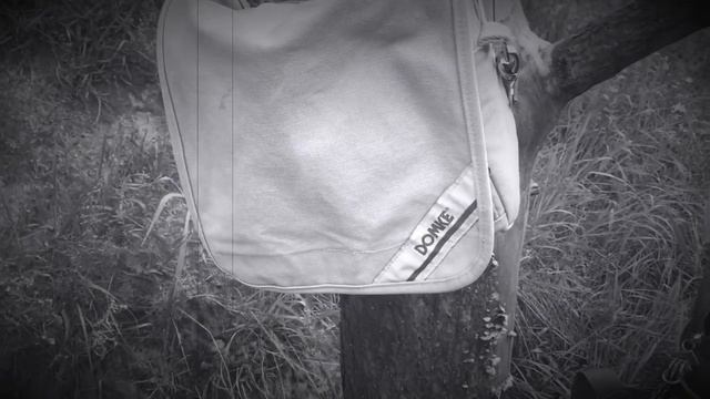 Про лес и фото сумки и наблюдательность пейзажная фотография с Фовеонычем смотреть онлайн