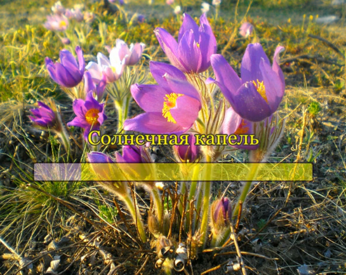 Солнечная капель смотреть онлайн