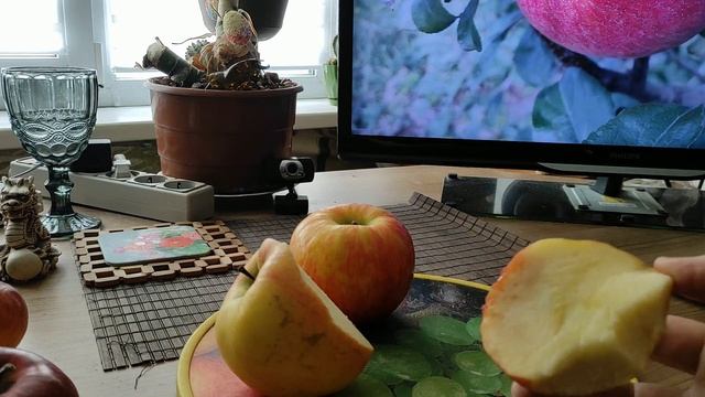 Сорт яблук "Хоней Крісп"(Honey Crisp).Історія сорту та як отримують нові сорта. смотреть онлайн