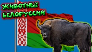 Животные Белоруссии